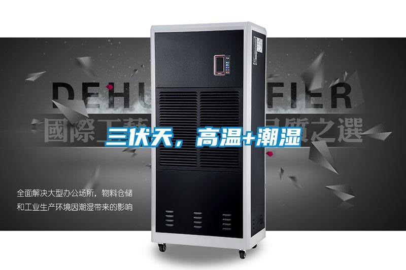 三伏天，高溫+潮濕