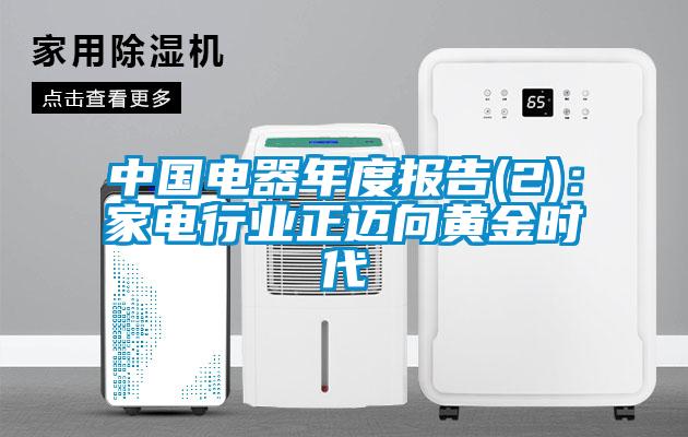 中國電器年度報告(2):家電行業(yè)正邁向黃金時代