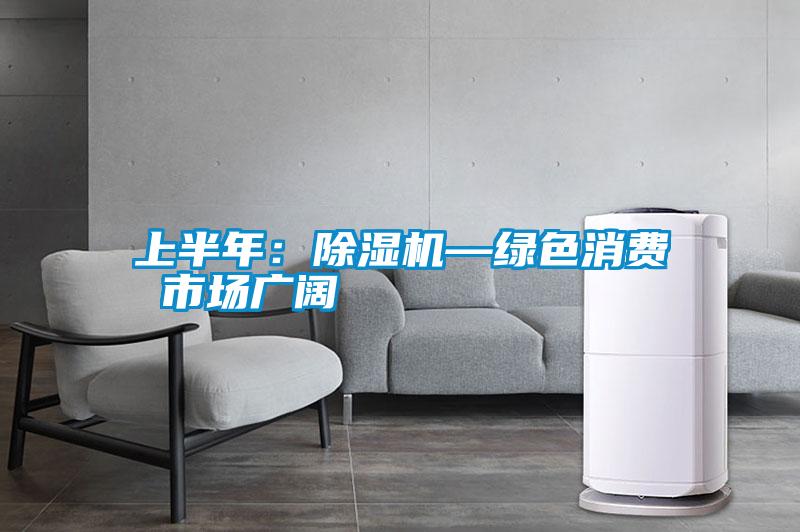上半年:除濕機(jī)—綠色消費(fèi) 市場廣闊
