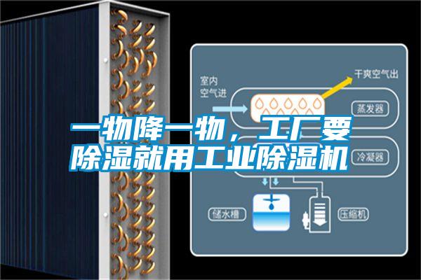 一物降一物,工廠要除濕就用工業除濕機