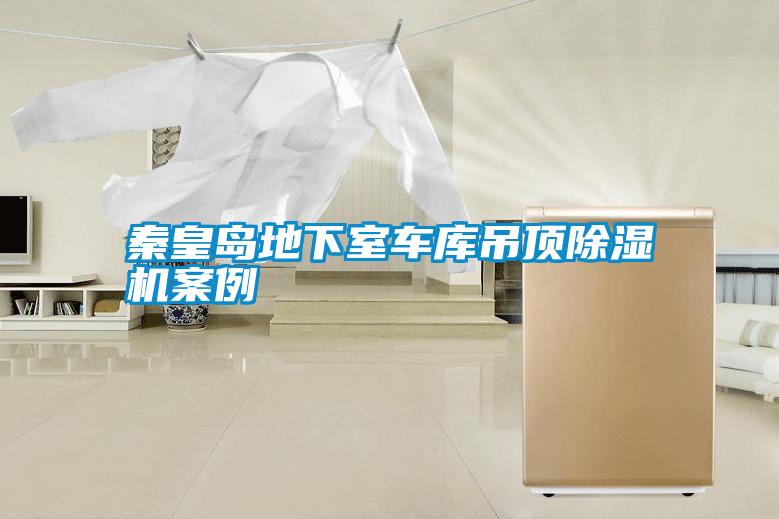 秦皇島地下室車(chē)庫(kù)吊頂除濕機(jī)案例
