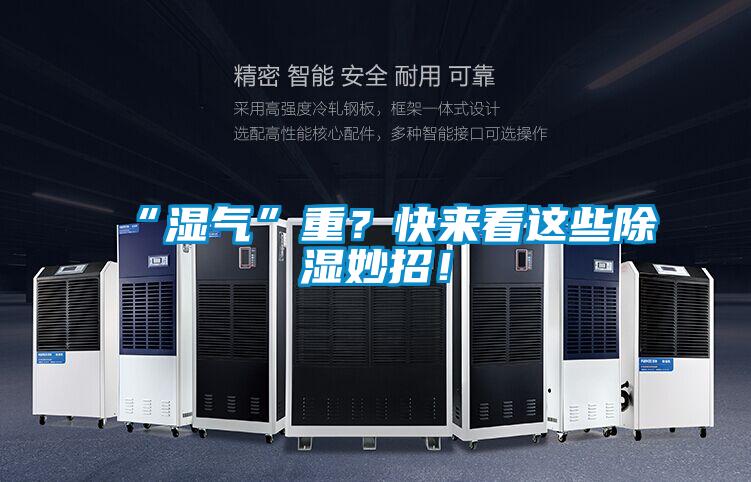 “濕氣”重？快來看這些除濕妙招！