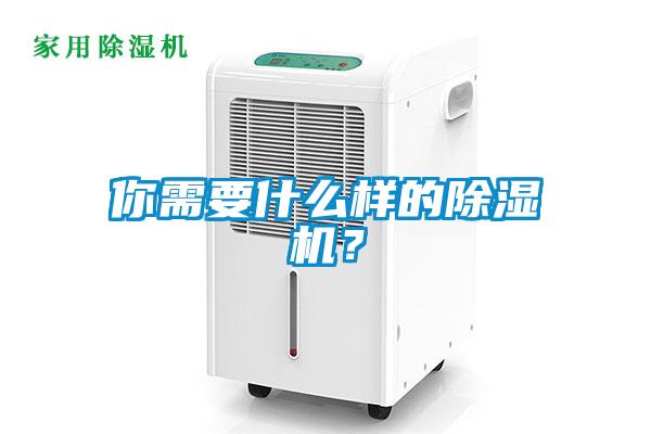 你需要什么樣的除濕機?