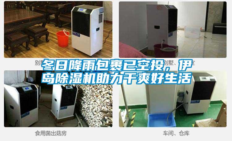 冬日降雨包裹已空投，伊島除濕機助力干爽好生活