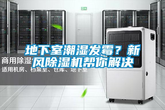 地下室潮濕發霉?新風除濕機幫你解決