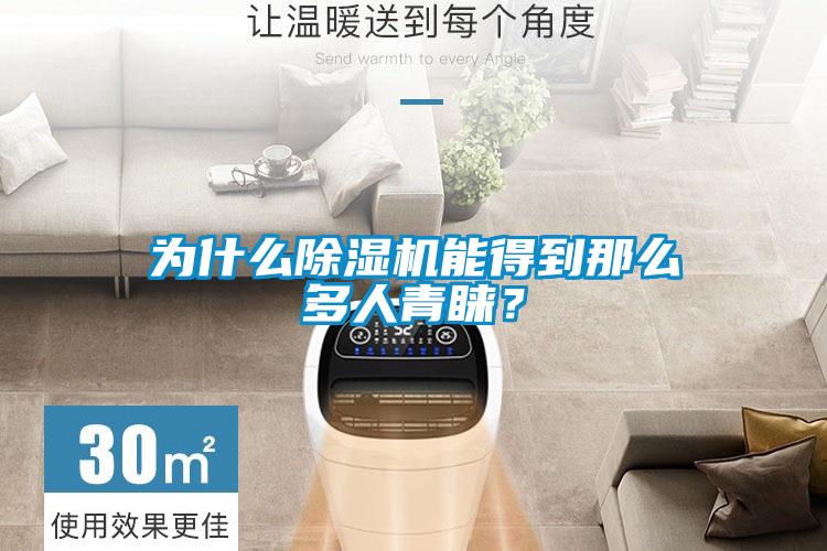 為什么除濕機(jī)能得到那么多人青睞？