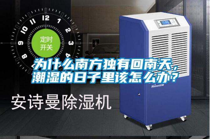 為什么南方獨有回南天，潮濕的日子里該怎么辦？