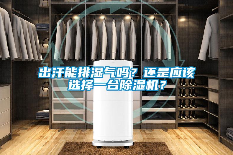 出汗能排濕氣嗎?還是應該選擇一臺除濕機?