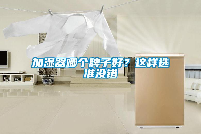 加濕器哪個牌子好？這樣選準沒錯