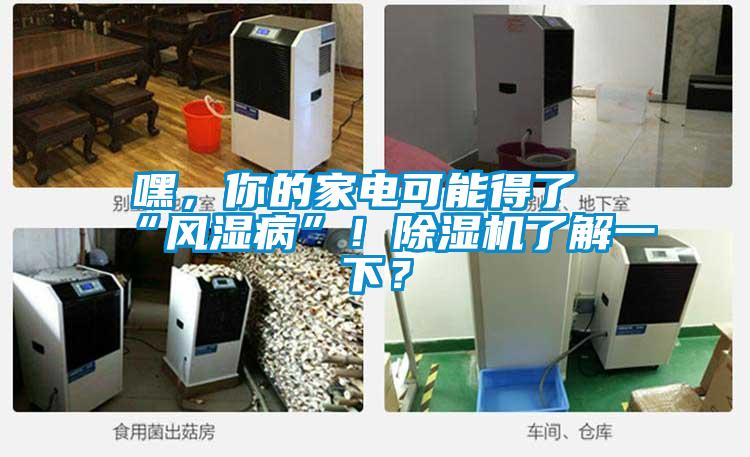 嘿，你的家電可能得了“風濕病”！除濕機了解一下？