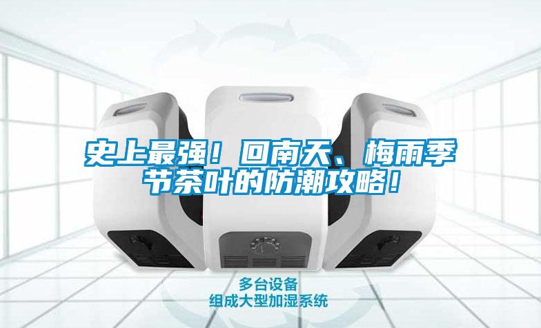 史上最強！回南天、梅雨季節茶葉的防潮攻略！