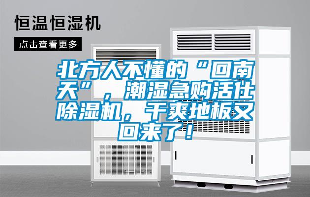 北方人不懂的“回南天”,潮濕急購(gòu)活仕除濕機(jī),干爽地板又回來(lái)了!