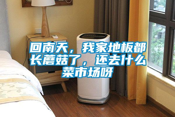 回南天，我家地板都長蘑菇了，還去什么菜市場呀