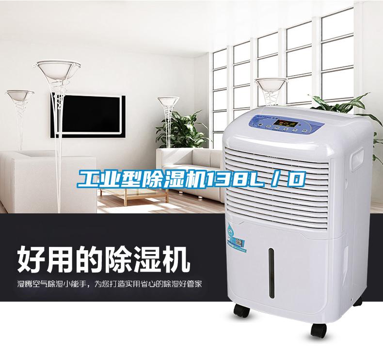 工業(yè)型除濕機138L/D