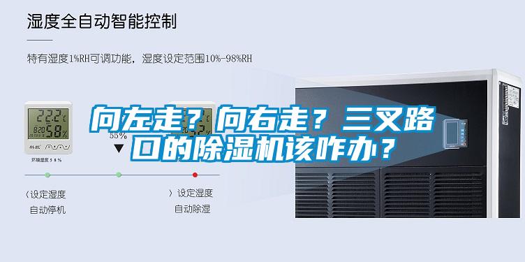 向左走？向右走？三叉路口的除濕機該咋辦？