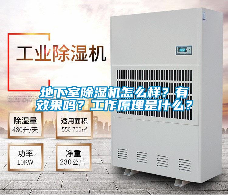 地下室除濕機怎么樣?有效果嗎?工作原理是什么?