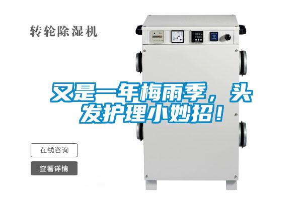 又是一年梅雨季，頭發護理小妙招！