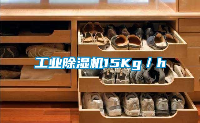 工業(yè)除濕機15Kg/h