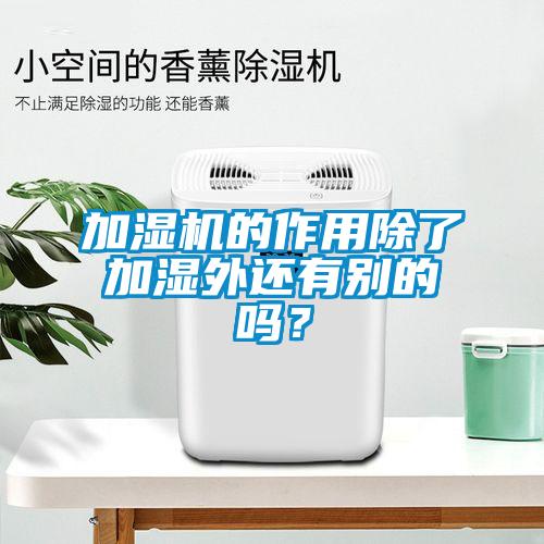 加濕機的作用除了加濕外還有別的嗎？