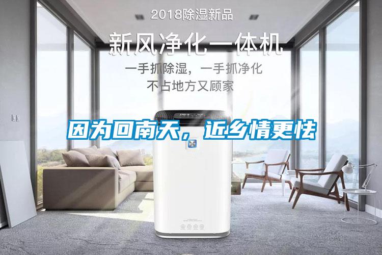 因為回南天，近鄉(xiāng)情更怯