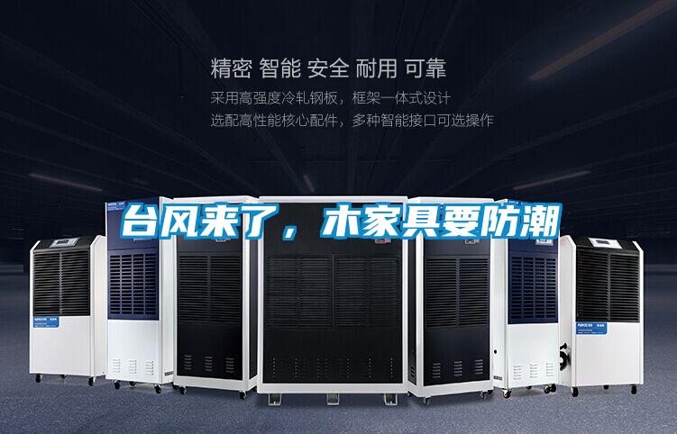 臺風來了,木家具要防潮