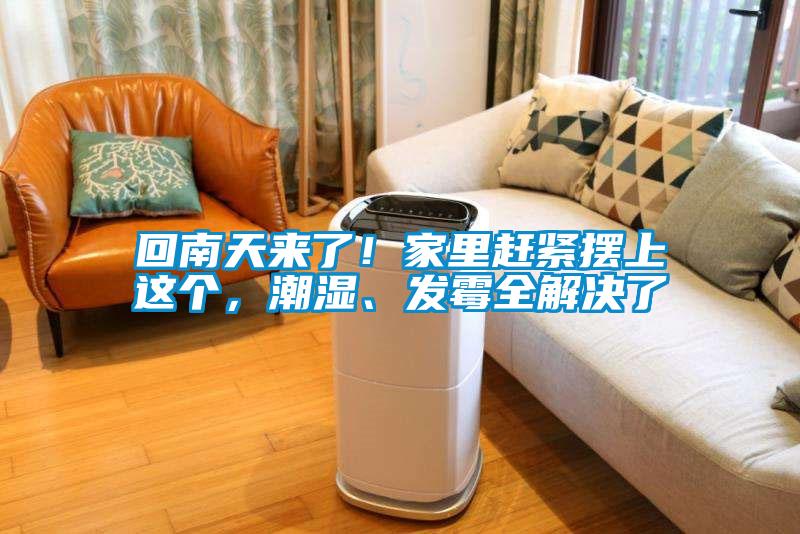 回南天來了！家里趕緊擺上這個，潮濕、發霉全解決了