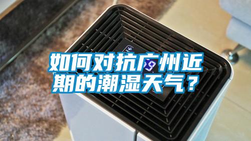 如何對抗廣州近期的潮濕天氣？
