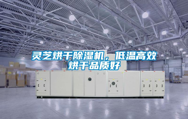 靈芝烘干除濕機,低溫高效烘干品質好