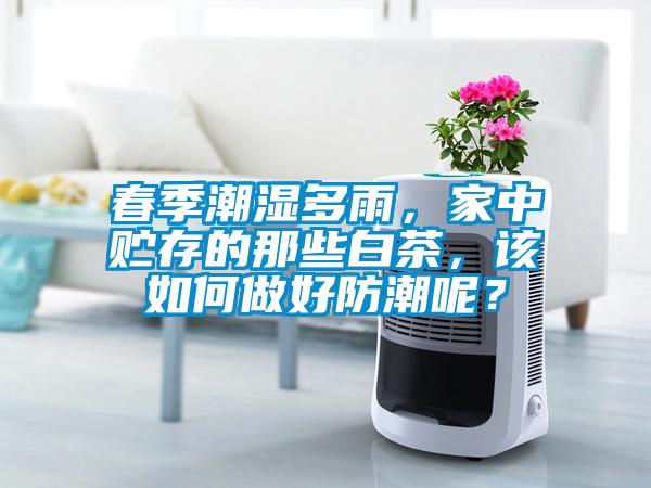 春季潮濕多雨,家中貯存的那些白茶,該如何做好防潮呢?