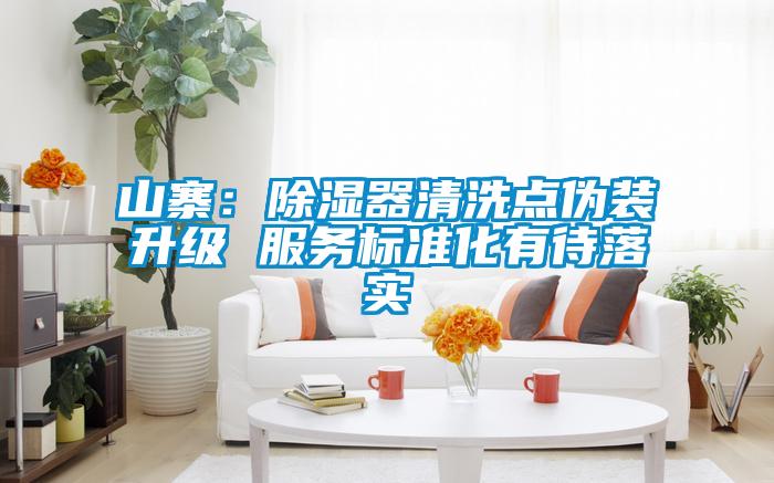 山寨:除濕器清洗點(diǎn)偽裝升級(jí) 服務(wù)標(biāo)準(zhǔn)化有待落實(shí)