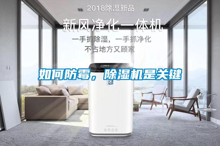 如何防霉,除濕機是關鍵