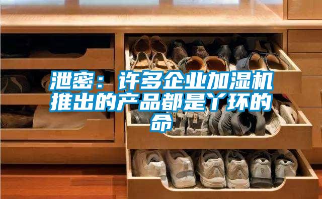 泄密:許多企業(yè)加濕機推出的產品都是丫環(huán)的命