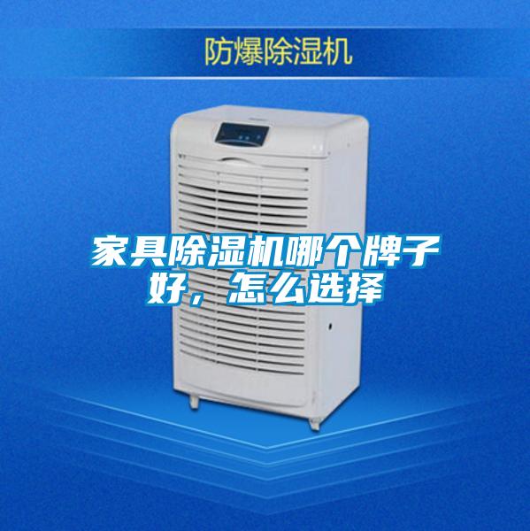 家具除濕機(jī)哪個(gè)牌子好,怎么選擇