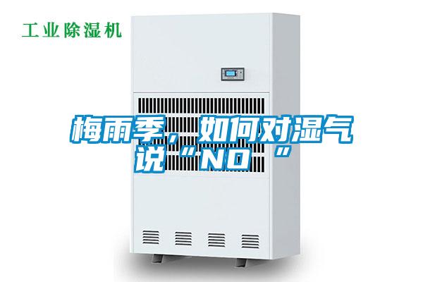 梅雨季,如何對濕氣說“NO ”