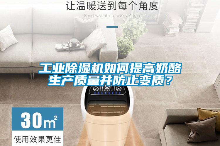 工業(yè)除濕機(jī)如何提高奶酪生產(chǎn)質(zhì)量并防止變質(zhì)?