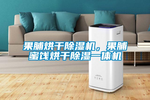 果脯烘干除濕機(jī),果脯蜜餞烘干除濕一體機(jī)