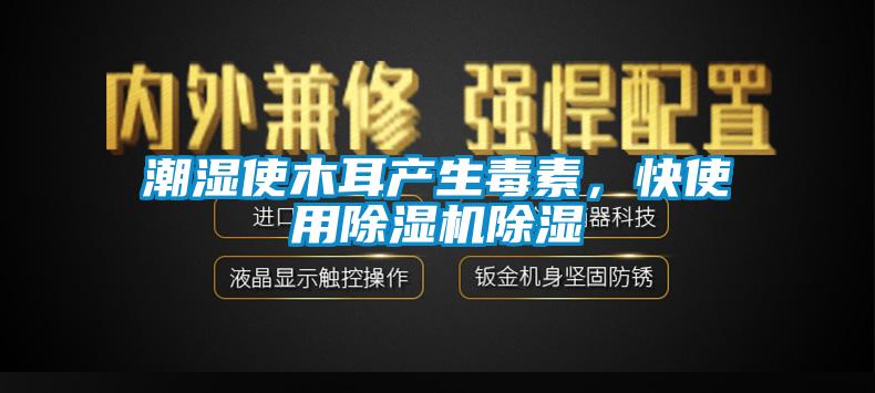 潮濕使木耳產(chǎn)生毒素,快使用除濕機除濕