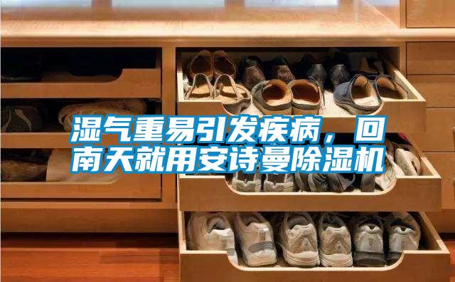 濕氣重易引發(fā)疾病,回南天就用安詩(shī)曼除濕機(jī)