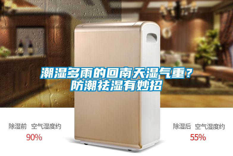 潮濕多雨的回南天濕氣重？防潮祛濕有妙招