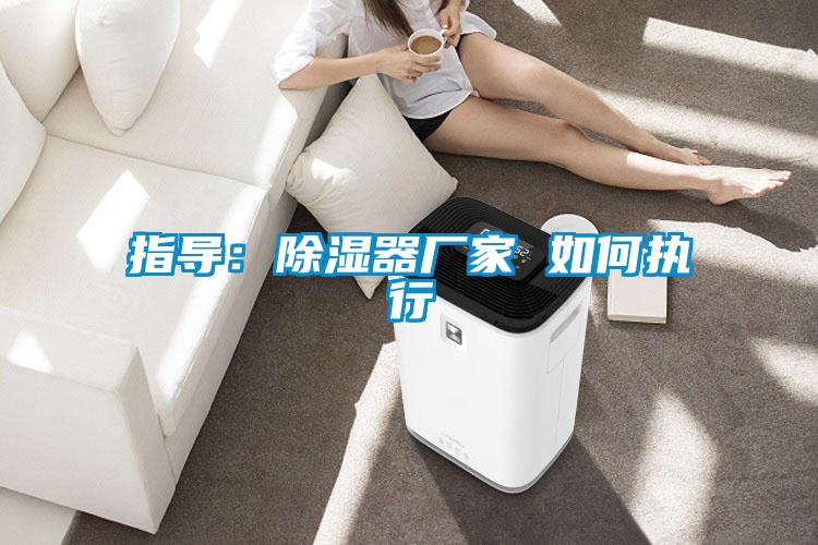 指導:除濕器廠家 如何執行