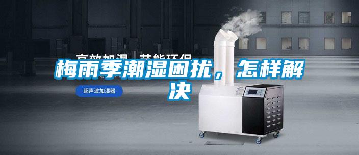 梅雨季潮濕困擾，怎樣解決