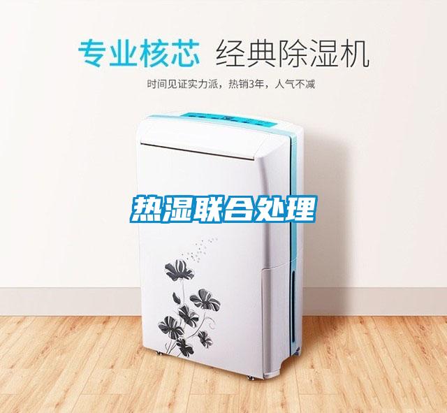 熱濕聯合處理
