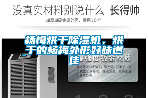 楊梅烘干除濕機(jī)，烘干的楊梅外形好味道佳