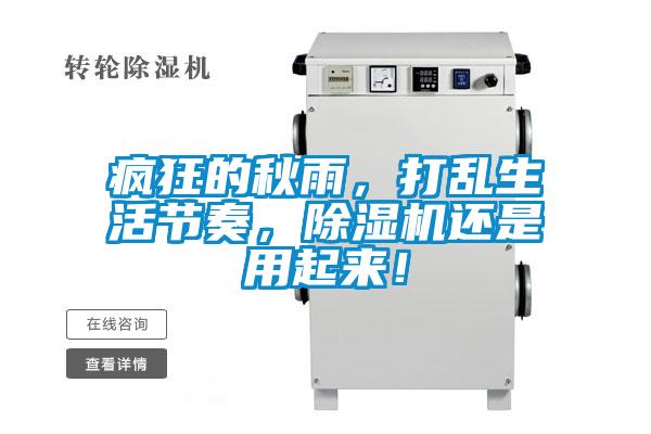 瘋狂的秋雨,打亂生活節(jié)奏,除濕機(jī)還是用起來!