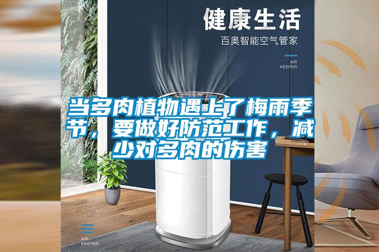 當多肉植物遇上了梅雨季節，要做好防范工作，減少對多肉的傷害