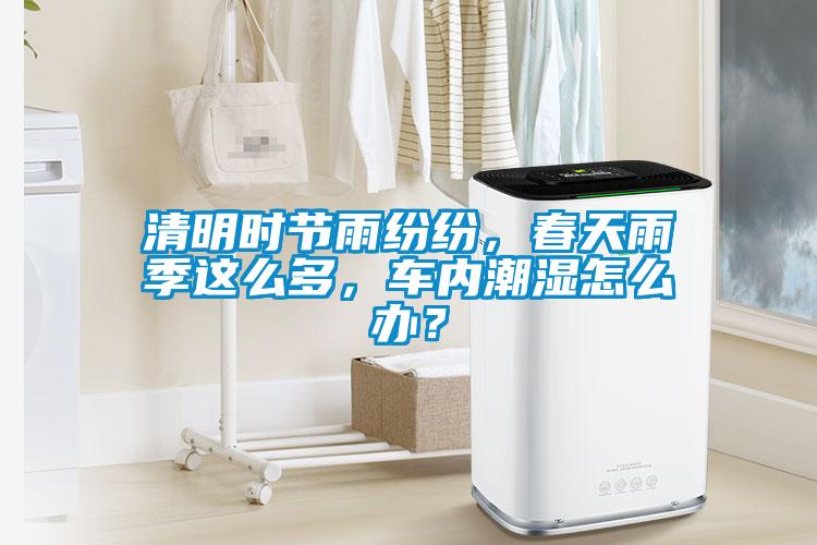 清明時節(jié)雨紛紛，春天雨季這么多，車內(nèi)潮濕怎么辦？