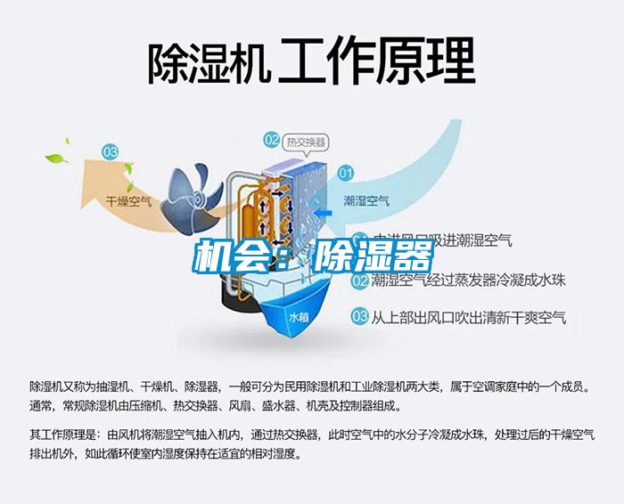機(jī)會(huì):除濕器