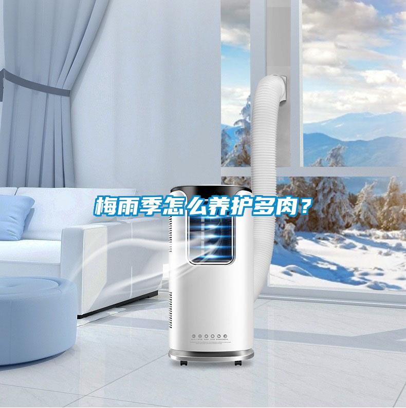 梅雨季怎么養護多肉？