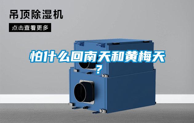 怕什么回南天和黃梅天?
