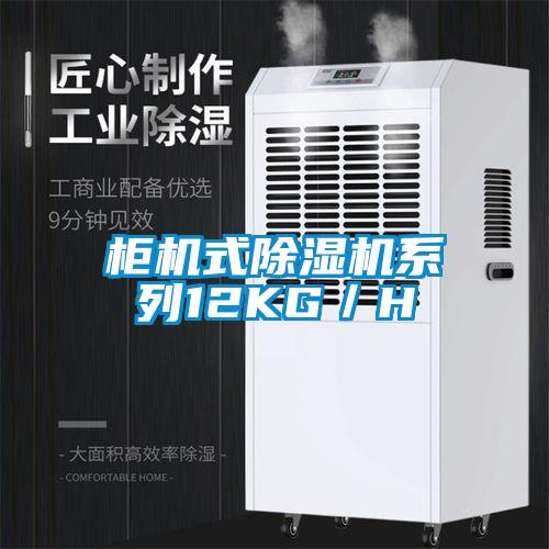 柜機式除濕機系列12KG/H